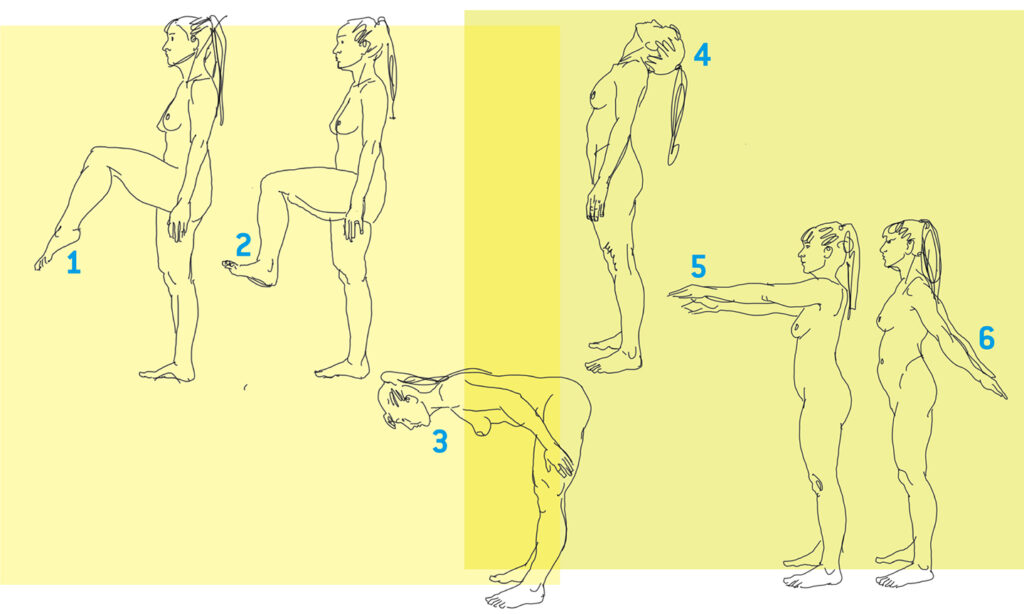 Bewegungsrichtungen Sagitalebene