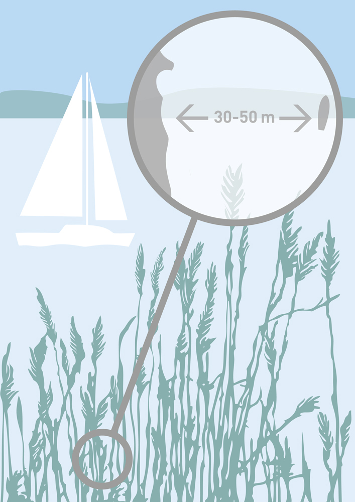 DSV / Broschüre 10 Grüne Regeln