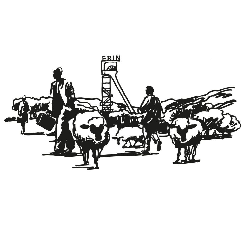 Zeche Erin / Castrop-Rauxel